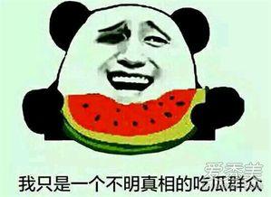 吃瓜是什么意思 吃瓜网官网免费观看,吃瓜网官网免费畅享娱乐盛宴