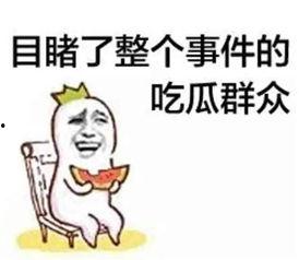 吃瓜群众在七零,吃瓜群众的欢乐时光
