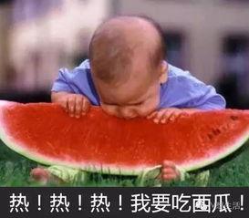 每日大赛 吃瓜视频反差合集,每日大赛吃瓜视频反差合集大揭秘