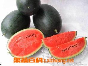 网红黑料社 热门大瓜