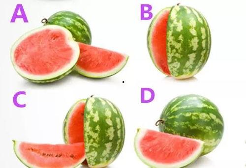 热门大瓜莫里秀 热门大瓜子,热门大瓜背后的故事与真相